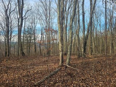 29003.0 Smith Mountain