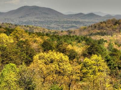 Lot 14 Hawks View