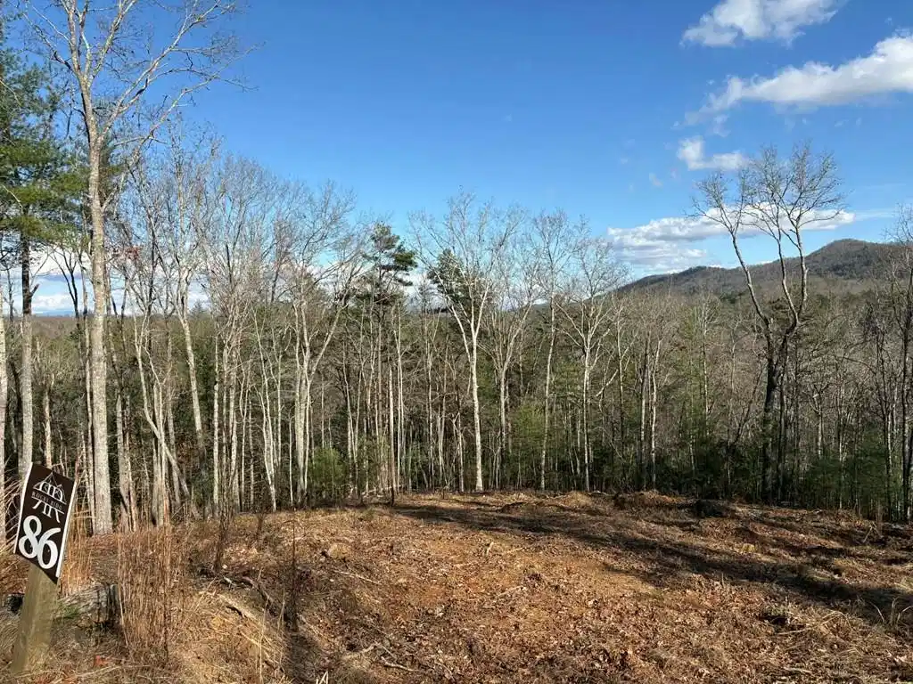 Image 1: Main View