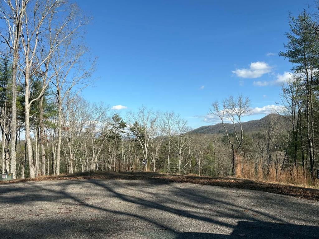 Image 2: Top left of lot
