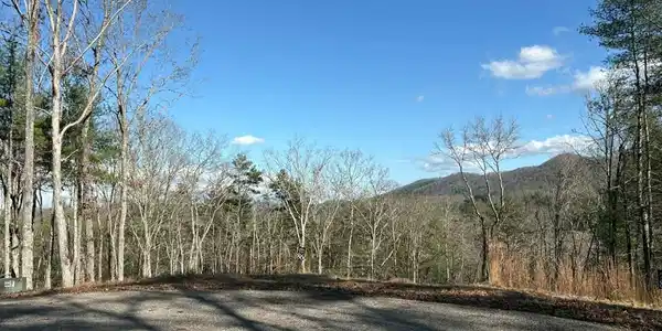 Image 2: Top left of lot