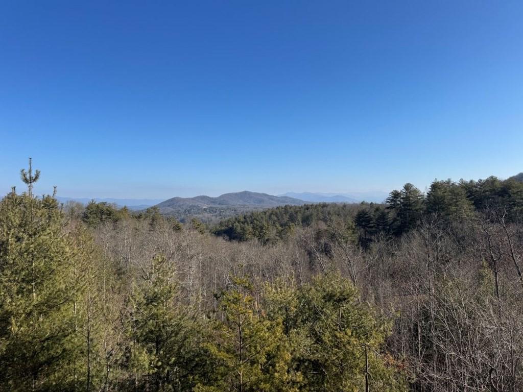 Image 2: View