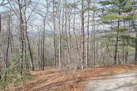 410 Chestnut Hills Road