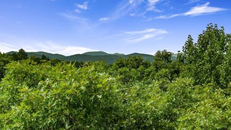 3.51 AC Deer Springs Road