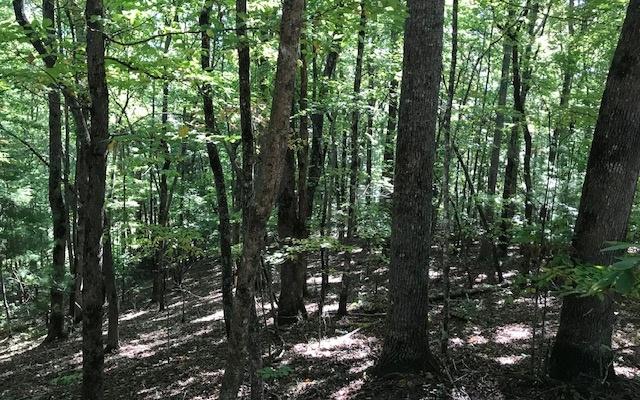 Image 3: Additional View
