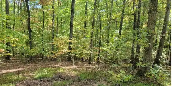 Image 4: Additional View