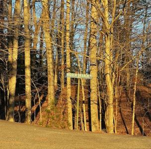 Lot 18 Hidden Branch Drive