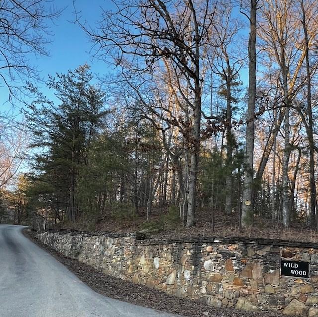 Image 3: Paved Road to Hidden Branch