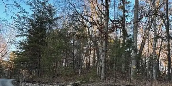 Image 3: Paved Road to Hidden Branch