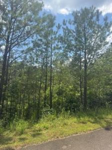 LT 43&44 Reece Mountain Road