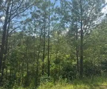 LT 43&44 Reece Mountain Road
