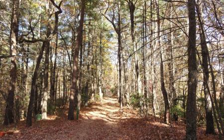 Lot B Cindy Cove