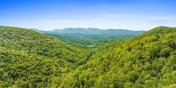Lot 18 Cub Trail