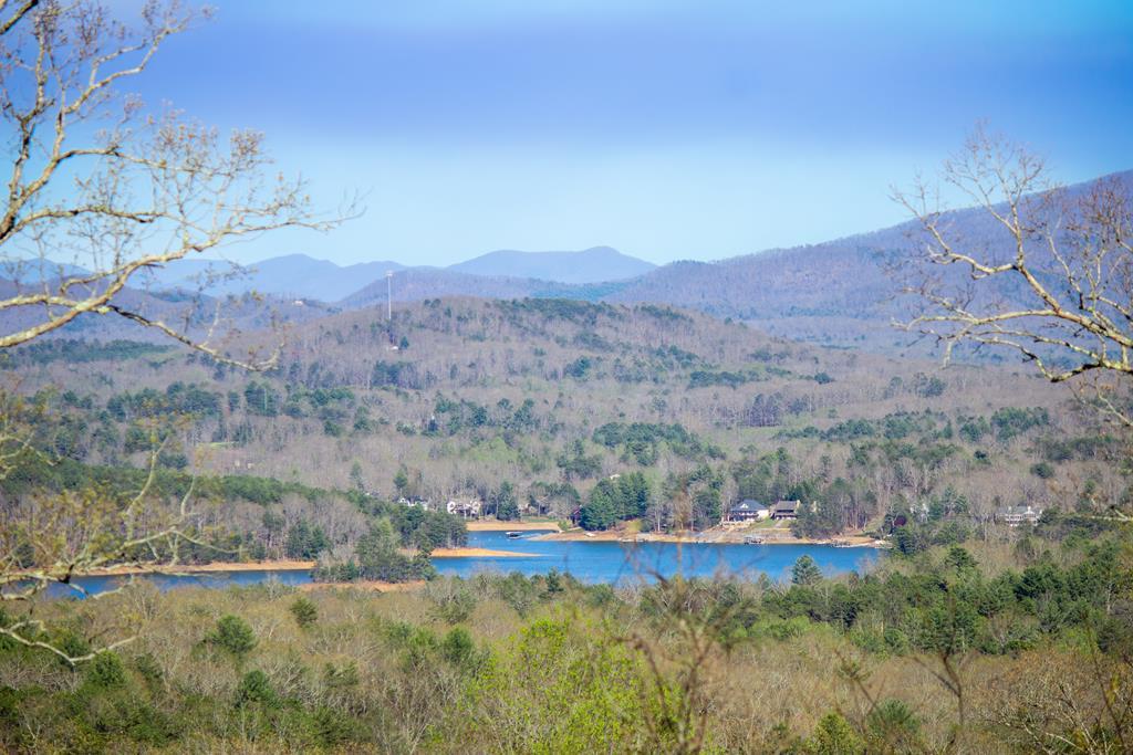 Image 1: Main View