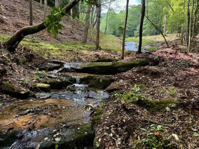 1443 Greasy Creek Road