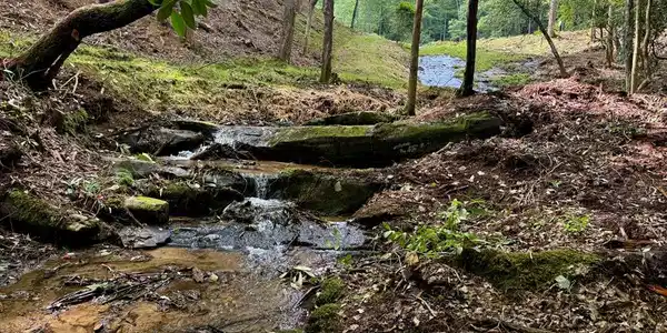 1443 Greasy Creek Road