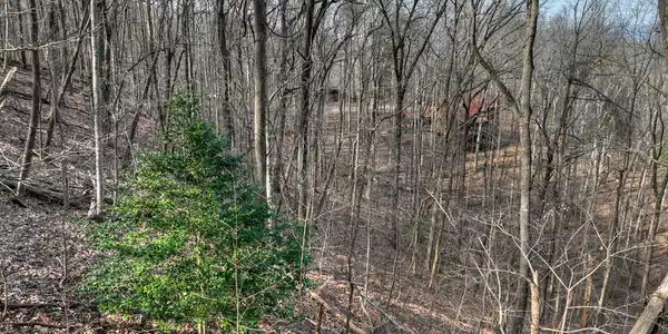 LTS 159+ Hickory Trace