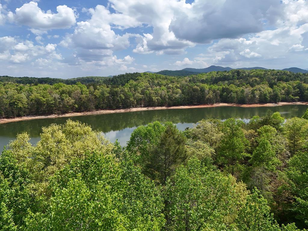 Image 2: Lakefront Lot 112