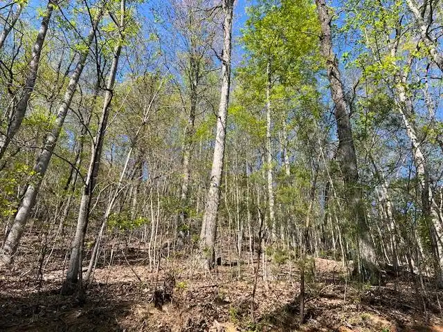Image 1: Main View