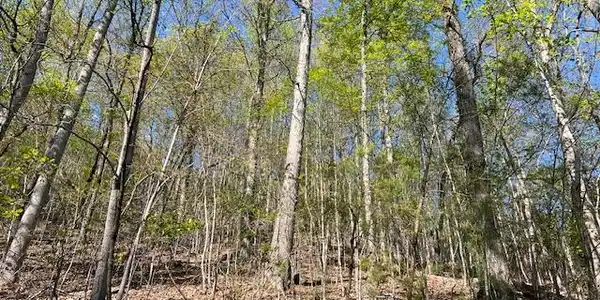 Lot 2B Grandview Drive