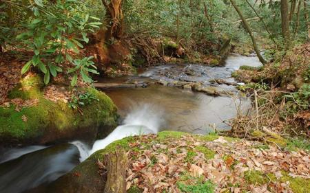 #22 Chairmaker Drive