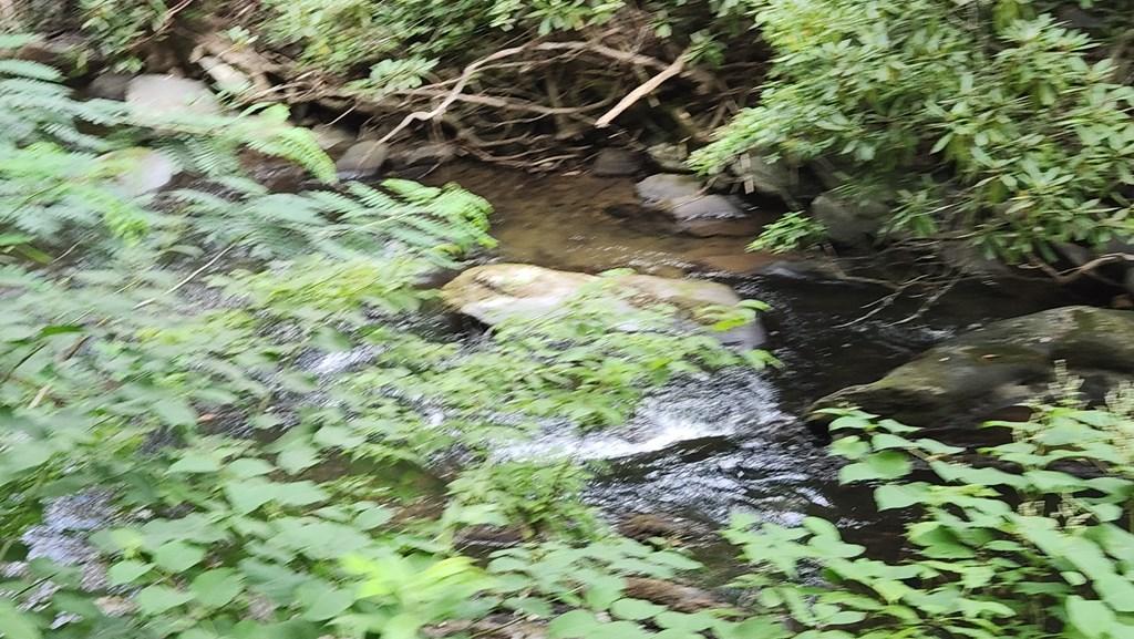 Image 3: Tumbling Creek