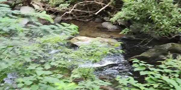 Image 3: Tumbling Creek