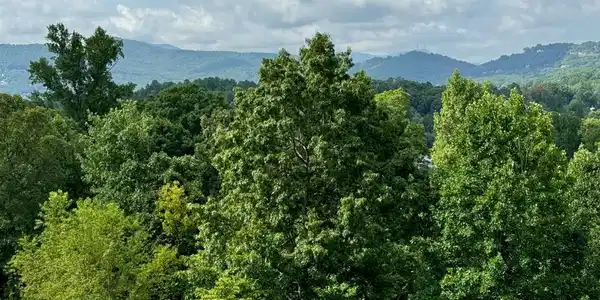 Lot 10 Chatuge Shores Overlook