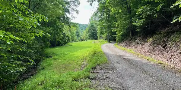 33.4 ac Caldwell Road