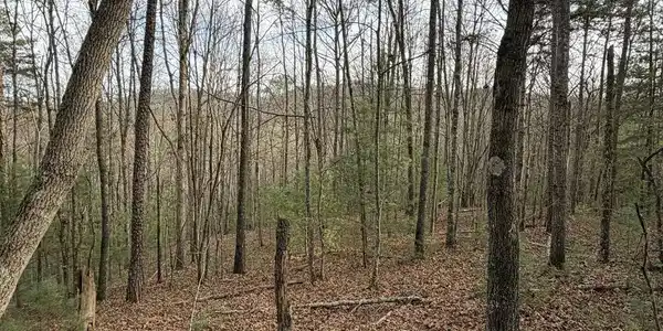 83 Acres Cutcane Road