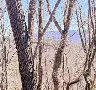 NA Pettit Ridge Road