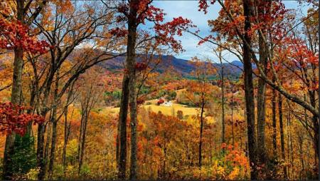 20 Fly Cast Overlook