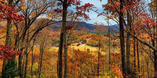 20 Fly Cast Overlook