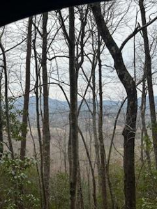 Winchester Creek