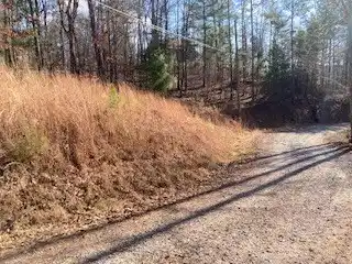 Image 3: ROAD FRONTAGE