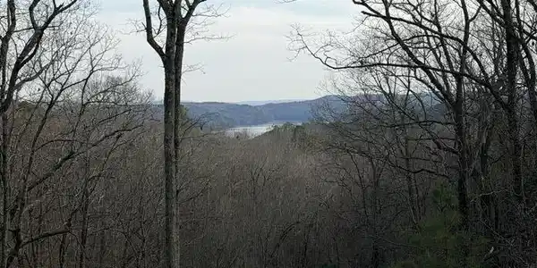 439 Buck Creek Road