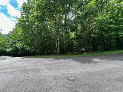 Overlook Drive