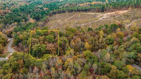 Lot 49 Lower Creek Trail