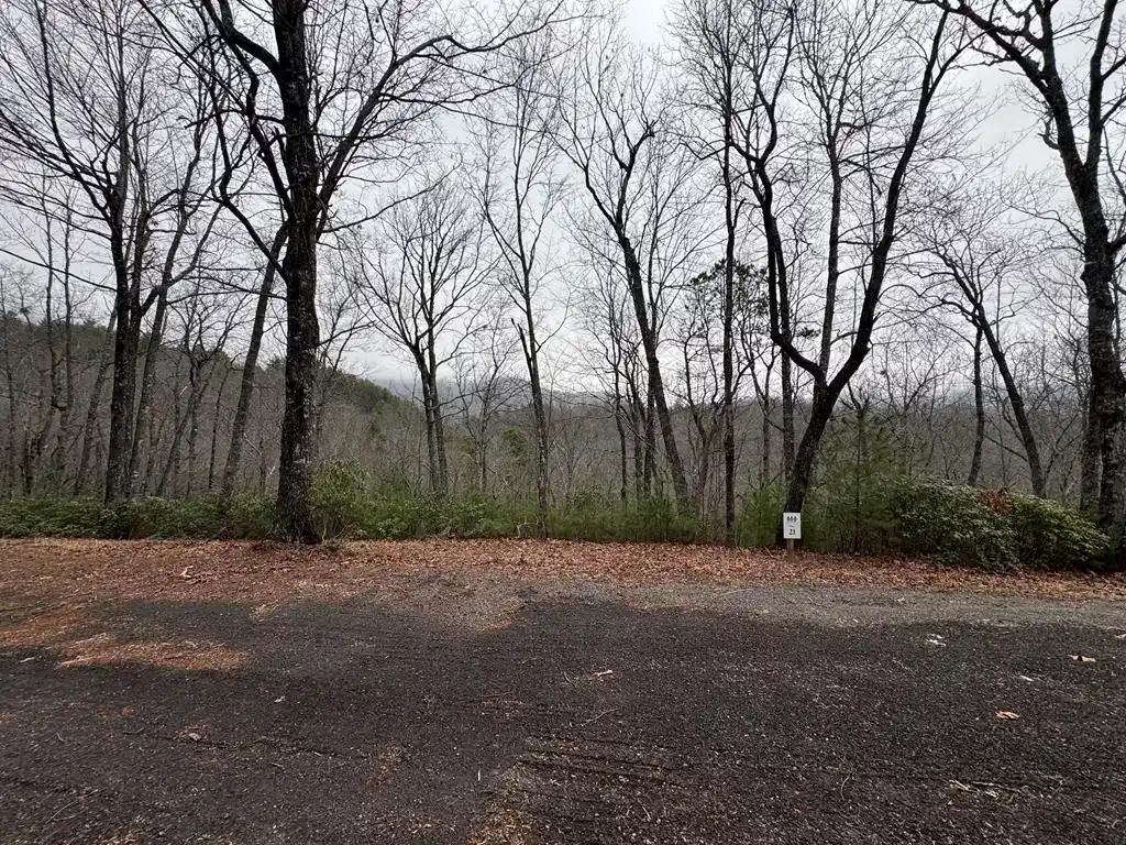 Image 1: Main View