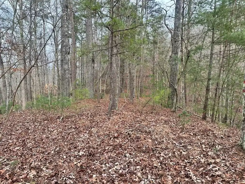 Image 1: Main View