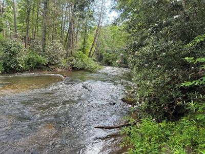 Lot 61 White Pine Trail