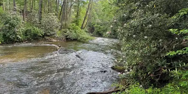 Lot 61 White Pine Trail