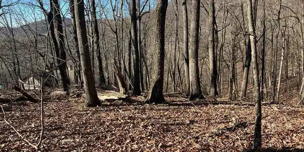 Sassafras Mountain Trail