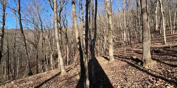 Image 4: View from the lot