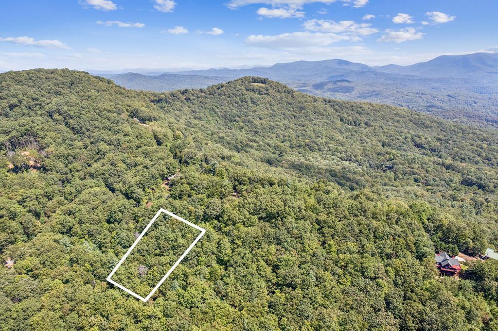 Image 1: Main View