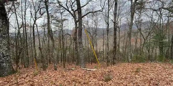 Image 4: Clear some trees, build your home, enjoy the view