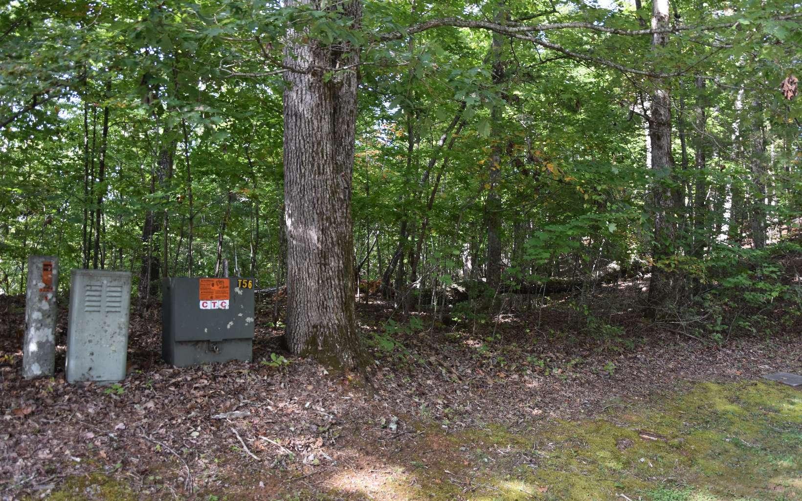 Image 3: Additional View