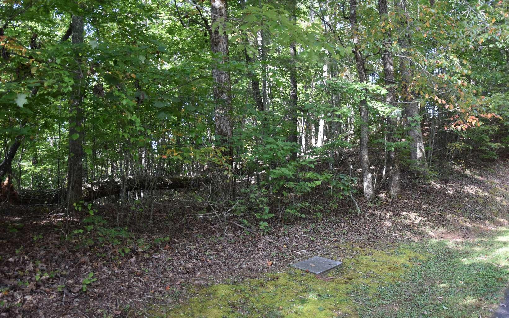 Image 4: Additional View