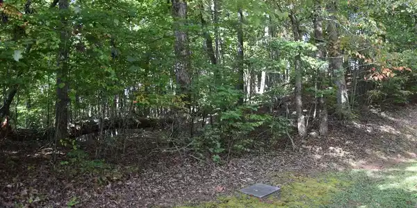 Image 4: Additional View