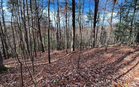 J-214 Walnut Mountain Road